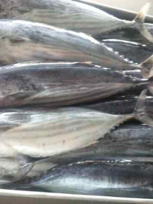 Aldimar pescado Congelado