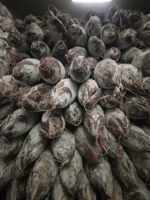 Aldimar pescado Congelado
